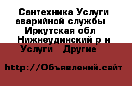 Сантехника.Услуги аварийной службы - Иркутская обл., Нижнеудинский р-н Услуги » Другие   